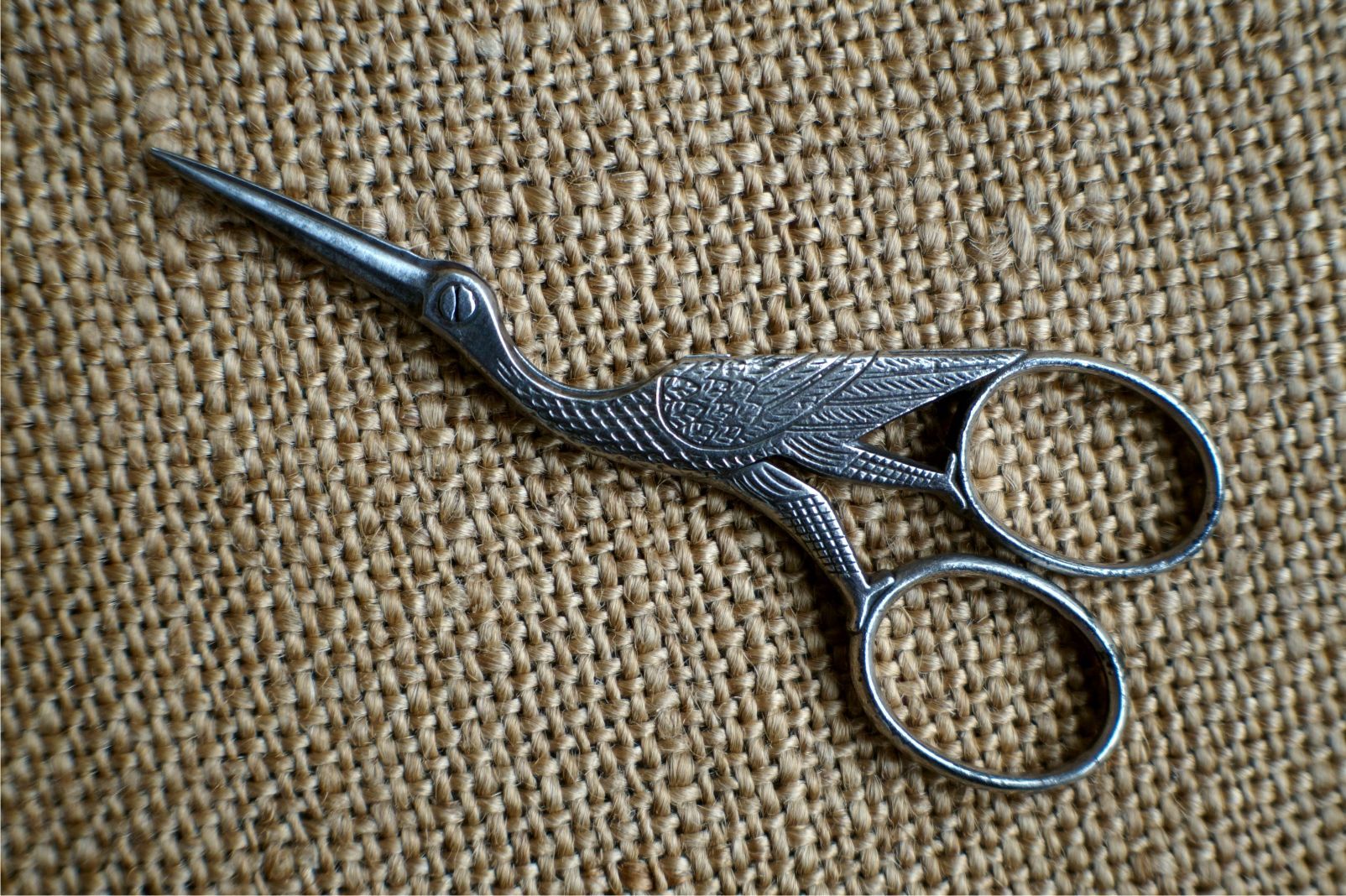 d741b1e32ac166031781877f96f0ec0a