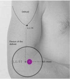 Точка LI-11 Цюй-чи &ndash; на меридиане Толстой кишки